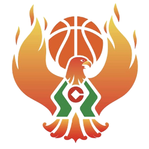 https://img.2swz.com/img/basketball/team/09b49d34027e0409a4de3295f8c71a2d.png