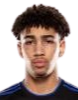 https://img.2swz.com/img/football/player/fb7fd3390bdc25307ce54843fe6472dd.png