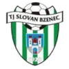 https://img.2swz.com/img/football/team/1e3cab433aa0780200515cc345ba594e.png