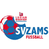 https://img.2swz.com/img/football/team/57adb01e00f0f7c6d571220cf21b4e02.png