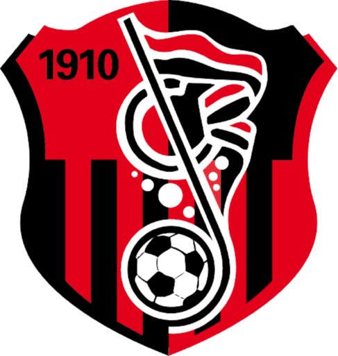 https://img.2swz.com/img/football/team/93e018cff141af47eae05333ac19a65d.png